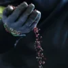 A gloved hand pours out a stream of small, red seeds or pellets against a dark background.