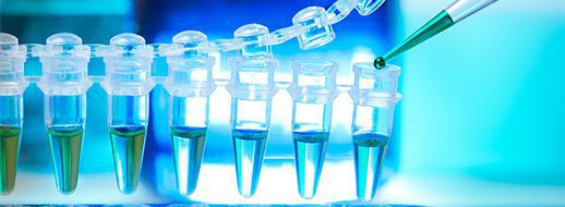 A pipette dispenses liquid into a row of plastic test tubes containing blue and green solutions in a laboratory setting.