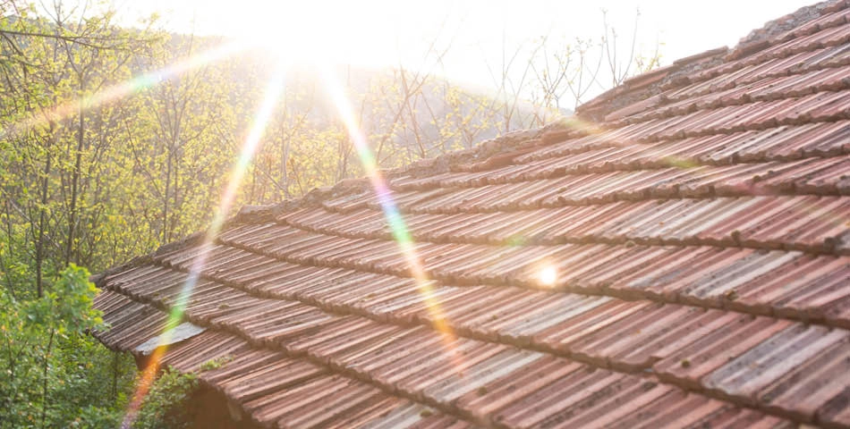 Sunlight shines brightly over a sloped, red-tiled roof with trees visible in the background.
