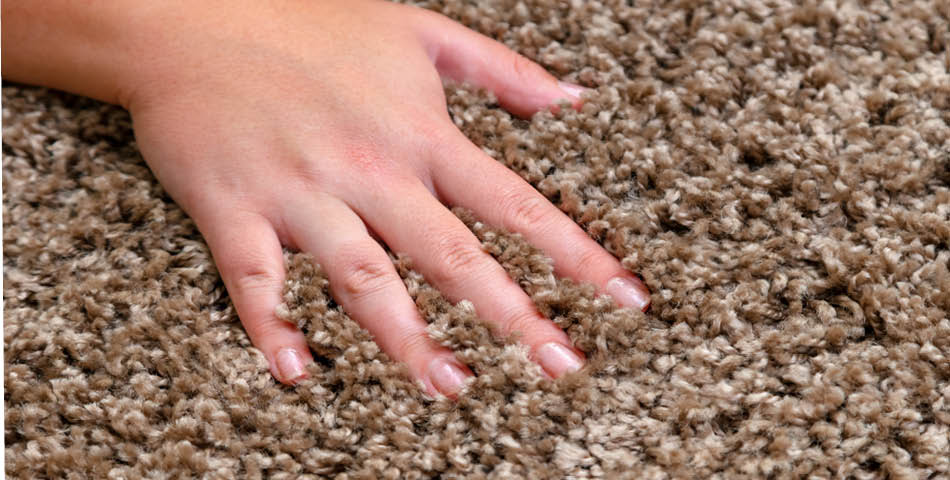 A hand with short fingernails pressing down on thick, brown and beige textured carpet.