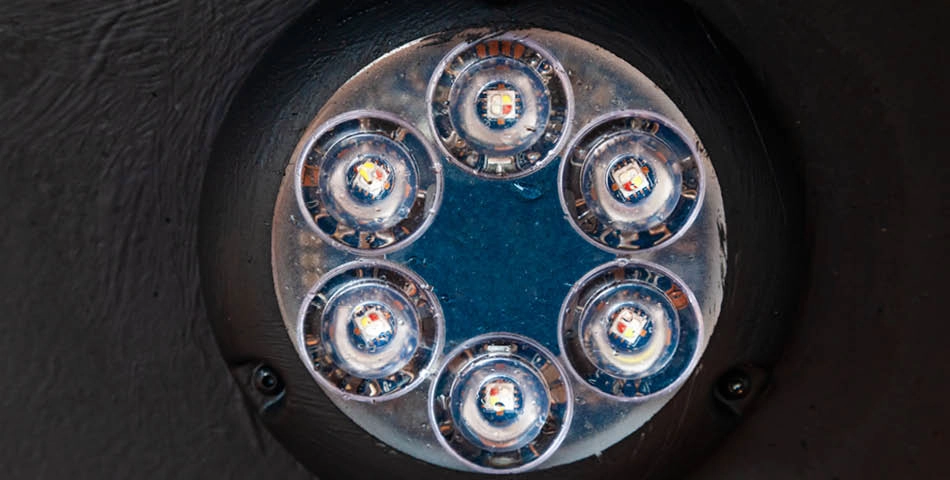 Close-up view of seven LED light bulbs arranged in a circular pattern inside a black housing.